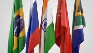 BRICS, entrepreneurs, Chamber of Commerce and Industry, women professionals, Msme, startup, funding