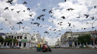 Connaught place, delhi, new delhi, connaught place new delhi, no vending, street vendors, delhi high court, high court