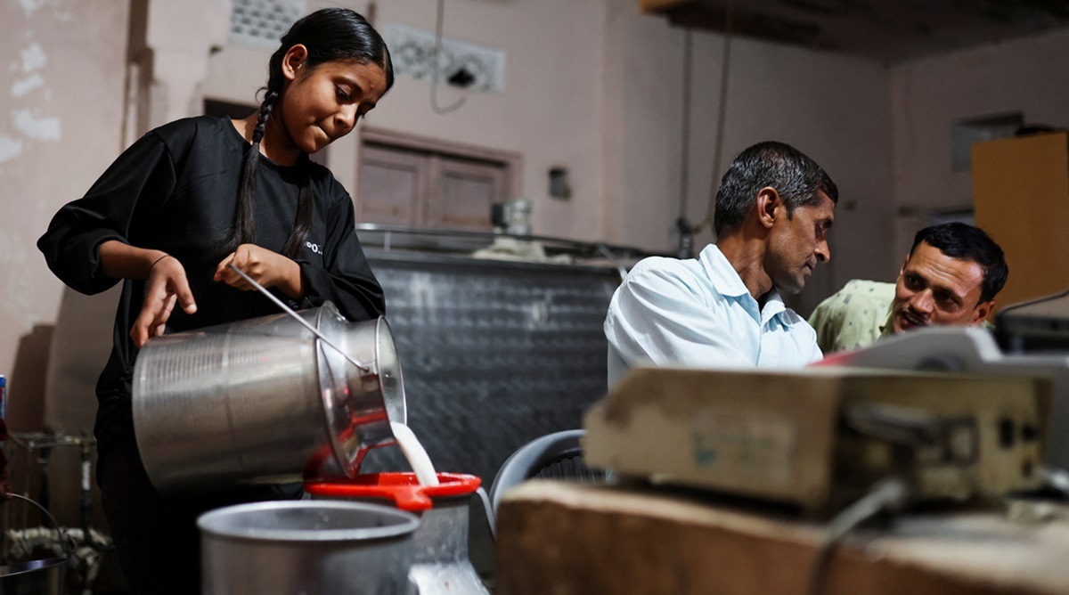 White Revolution, dairy sector, milk production, animal husbandry, global standards, GDP, agriculture sector, employment, consumption, nutritional challenges, probiotics, dietary supplements, renewable energy, sustainability, Mother Dairy