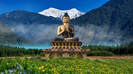 Sikkim’s Homestays—A Growing Success Story Sikkim’s Homestays—A Growing Success Story