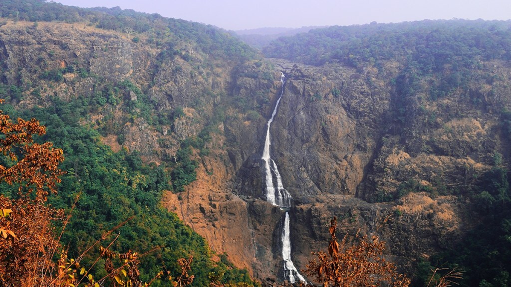The Wildlife Wonders of Odisha