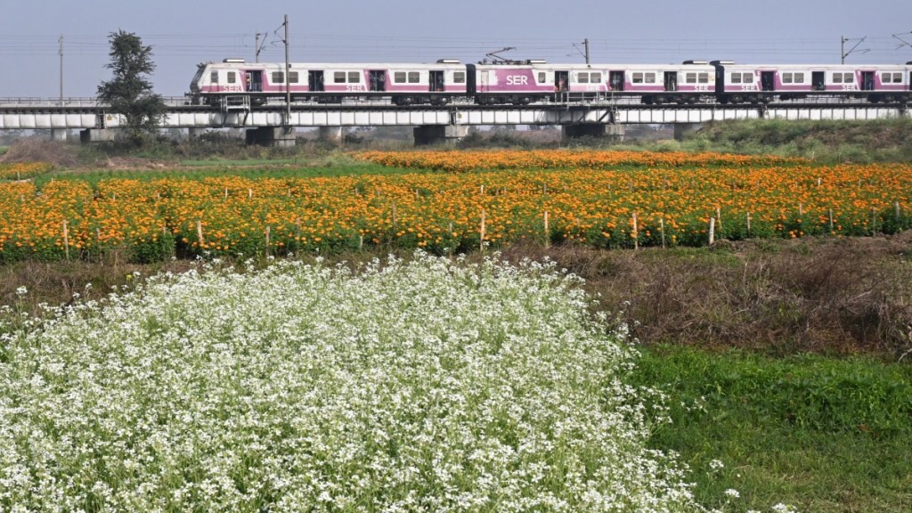 indian railways, yearly passenger travelling in Indian railways, ashwini vaishnaw, railway ministry, railways data, train passengers, indian railways, how many people travel in india by train, Indian railway data