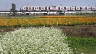 indian railways, yearly passenger travelling in Indian railways, ashwini vaishnaw, railway ministry, railways data, train passengers, indian railways, how many people travel in india by train, Indian railway data