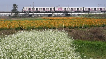 indian railways, yearly passenger travelling in Indian railways, ashwini vaishnaw, railway ministry, railways data, train passengers, indian railways, how many people travel in india by train, Indian railway data
