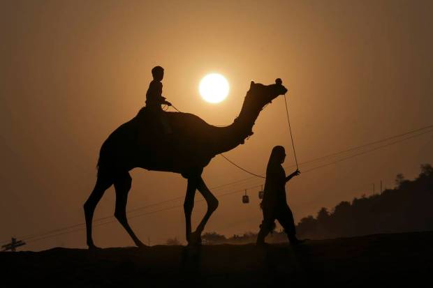 A camel herder during sunrise at the annual Pushkar Fair, in Pushkar. (PTI Photo)