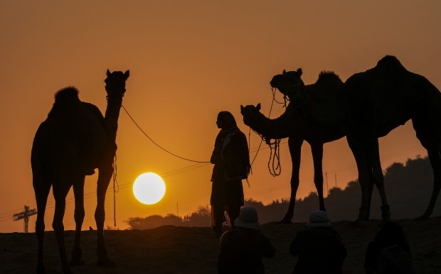 A camel herder during the annual Pushkar Fair, in Pushkar. (PTI Photo)