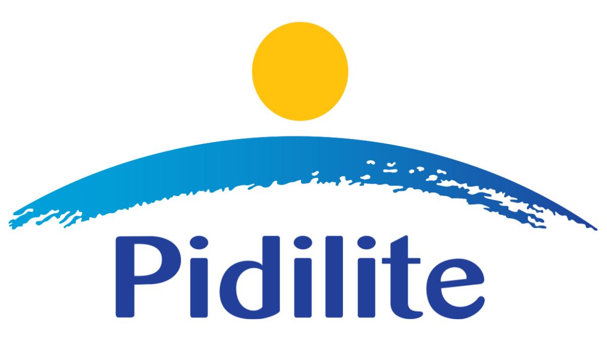 Pidilite, fevicol, southern market, non-banking financial company, nbfc, industry