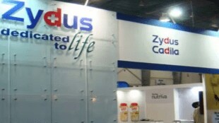 Zydus Lifesciences, Q3 earnings, quarter results, profit, revenue, EBITDA