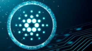 Reportedly, Worldcoin is a blockchain-based system that generates digital identities