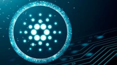 Reportedly, Worldcoin is a blockchain-based system that generates digital identities