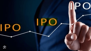 Financial analysts at Reliance Securities and Mehta Equities have given a 'Subscribe' rating to the IPO.