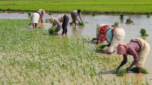 farmer income, agriculture sector, economy, economic growth, agricultural exports, exports