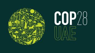 COP28, climate change, financial assistance, sustainability, Paris Agreement, fossil fuel, clean technologies