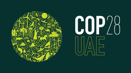 COP28, climate change, financial assistance, sustainability, Paris Agreement, fossil fuel, clean technologies