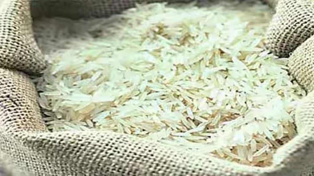 basmati paddy price, commodities news, commodities, basmati rice, basmati rice news
