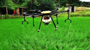 digital transformations, technological advancements, agricultural sector, farming techniques, green revolution, green revolution, farming practices, blockchain, precision farming, digital marketplaces, ICRIER, agritech