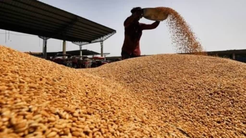 WTO, WTO India, India grain stocking, WTO news, economy news