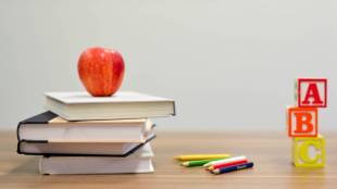 cbse, cbse board, up board, cbse board 2024, cbse class 10 datesheet, bihar board datesheet, class 12 cbse datesheet
