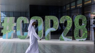 COP28, opinion article, op-ed, financial express news, Conference of the Parties , UNFCCC