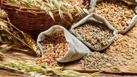 Food subsidy