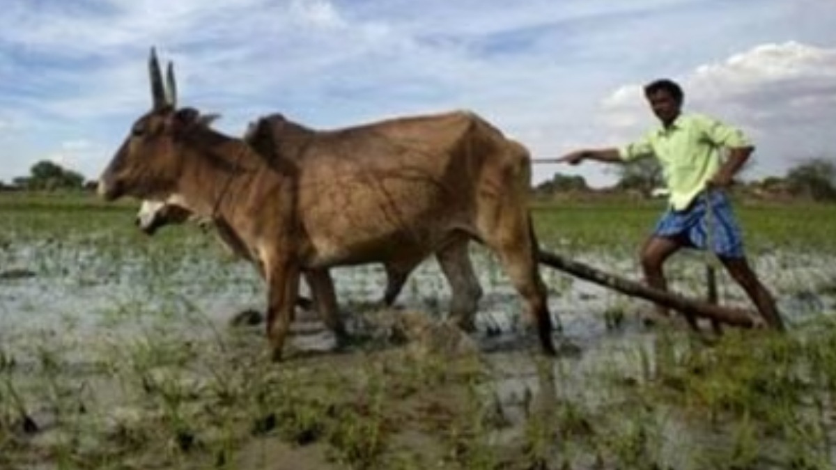 Q2 growth slowest, Q2 growth India, MGNREGA, MGNREGA news, economy news