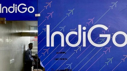 Indigo
