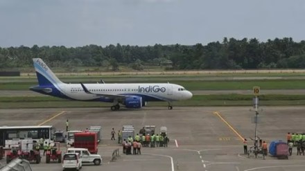 indigo