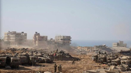 Israel-Hamas war, Palestine, Gaza, Israel,