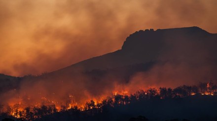 climate change, climate summit, cop28 summit, dubai summit, climate, 2023 hottest year, hottest year, UN, UN COP28 climate change, climate summit, cop28 summit, dubai summit, climate, 2023 hottest year, hottest year, UN, UN COP28