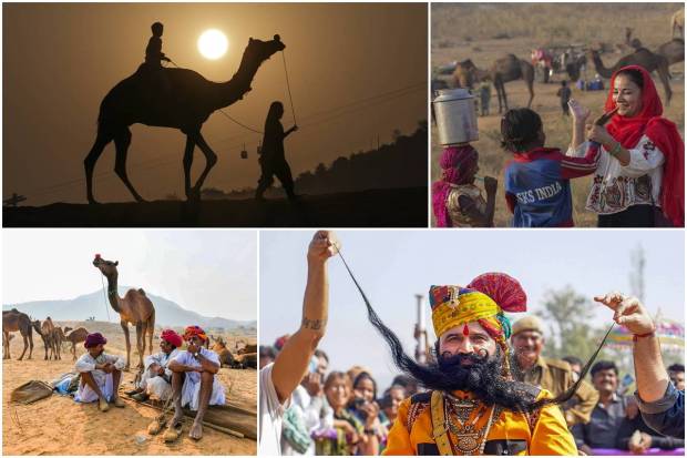 The Pushkar Fair, an annual livestock and cultural festival, is going on in the Pushkar city of Rajasthan. This year it will be held between Monday (20 Nov) and Tuesday (28 Nov).Also called the Pushkar Camel Fair, it starts with the Hindu calendar month of Kartik and ends on the Kartik Purnima. It typically coincides with late October and early November in the Gregorian calendar.It is one of the largest camel, horse, and cattle fairs in India. In addition to the trading of livestock, it is an important pilgrimage season for Hindus to the Pushkar Lake.Given the cooler season, the Pushkar Fair has also become a notable tourist attraction for domestic and international travellers.Cultural events and competitions include dances, the 