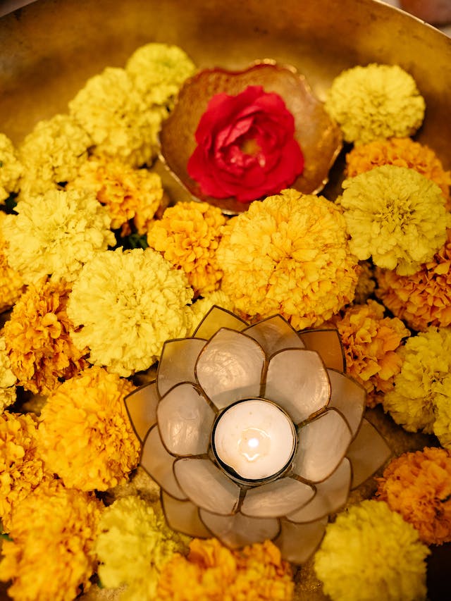 pexels-yan-krukau-8819267