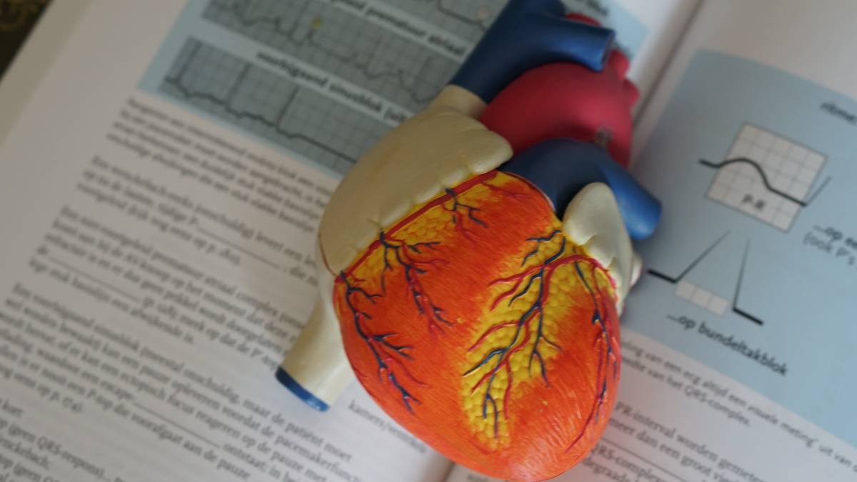 heart attack, heart attack prevention, dhoom director, morning heart attack, winter heart attack, silent heart attack, silent attack