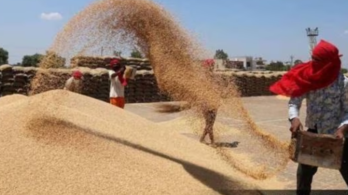 Free grains scheme, Free grains scheme news, foodgrains, economy news, Indian economy, Pradhan Mantri Garib Kalyan Anna Yojana, PMGKAY Free grains scheme, Free grains scheme news, foodgrains, economy news, Indian economy, Pradhan Mantri Garib Kalyan Anna Yojana, PMGKAY