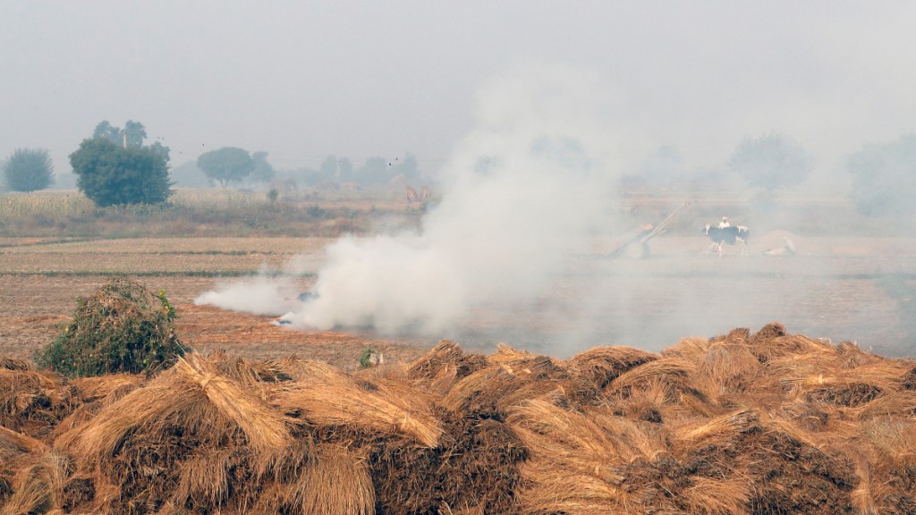 Delhi, Delhi news, Delhi latest news, Delhi air pollution, Delhi air emergency, Supreme Court, Supreme Court latest news, Punjab, Punjab news, Punjab air pollution, Punjab stubble burning, Punjab farm fires, Aam Aadmi Party, Arvind Kejriwal, Bhagwant Mann Delhi, Delhi news, Delhi latest news, Delhi air pollution, Delhi air emergency, Supreme Court, Supreme Court latest news, Punjab, Punjab news, Punjab air pollution, Punjab stubble burning, Punjab farm fires, Aam Aadmi Party, Arvind Kejriwal, Bhagwant Mann