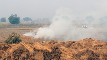 Delhi, Delhi news, Delhi latest news, Delhi air pollution, Delhi air emergency, Supreme Court, Supreme Court latest news, Punjab, Punjab news, Punjab air pollution, Punjab stubble burning, Punjab farm fires, Aam Aadmi Party, Arvind Kejriwal, Bhagwant Mann