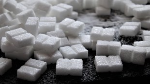World Diabetes Day, World Diabetes Day 2023, sugar cravings, sugar side effects, health news, wellness news,