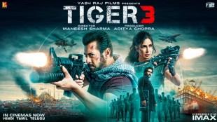 Tiger 3, salman khan, diwali, tiger 3 on diwali, salman khan movie, bollywood, tiger 3 box office collection, latest collection tiger 3, tiger 3 news, top news, latest news,
