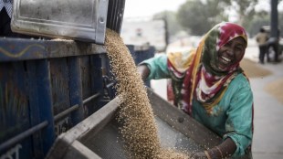Food Corporation of India (FCI), Food Corporation of India, FCI, FCI wheat, wheat prices