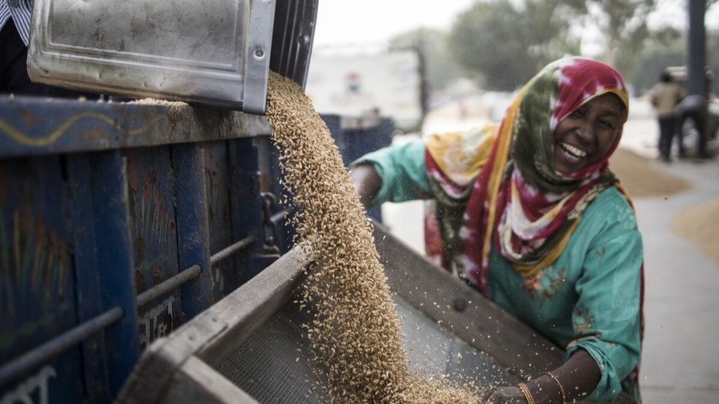Food Corporation of India (FCI), Food Corporation of India, FCI, FCI wheat, wheat prices
