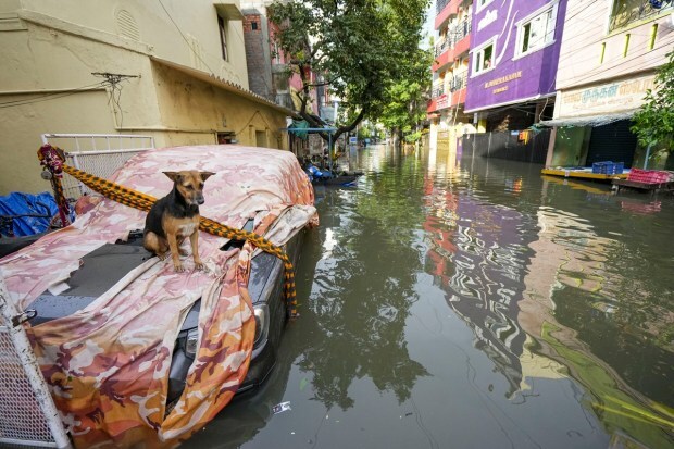 The NDRF teams were equipped with wood and pole cutters, inflatable boats, satellite phones and other essential items for rescue and relief operations.NDRF teams cleared the roads and restored the power and communication lines in various parts of Tamil Nadu, where the cyclone wreaked havoc on Tuesday morning. (PTI Photo)
