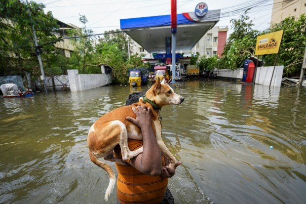 The cyclone made landfall near Kakinada in Andhra Pradesh around 12:30 pm on Tuesday, with wind speeds of up to 120 kmph.The cyclone brought heavy rainfall, thunderstorms and strong winds to Andhra Pradesh, Tamil Nadu, Telangana and Puducherry. (PTI Photo)
