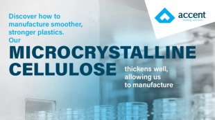 Accent Microcell's IPO