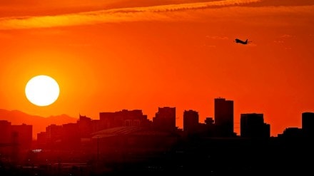 aviation, sustainable aviation fuel, aviation industry, International Air Transport Association, iata, aviation fuel, india aviation industry, sustainability