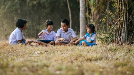 Environmental education is the process of educating individuals about how human activities impact the environment.