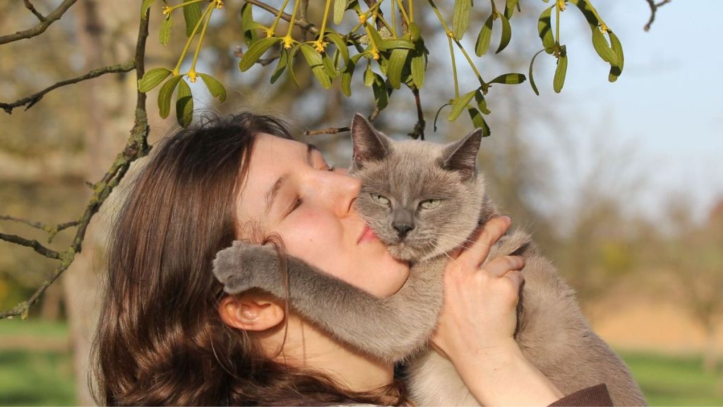 owning cats can double the risk of schizophrenia