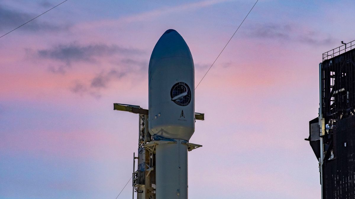elon musk, spacex elon musk, spacex
