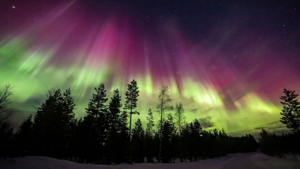 auroras, steve, picket fence auroras, steve, picket fence