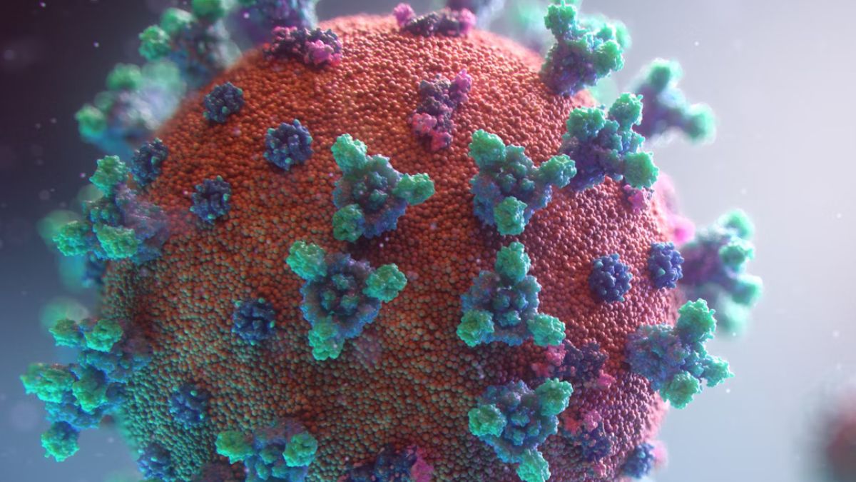 Coronavirus, covid-19, covid-19 variant, JN 1 variant, covid-19 JN 1 variant, madhya pradesh, centre, guidelines, centre guidelines Coronavirus, covid-19, covid-19 variant, JN 1 variant, covid-19 JN 1 variant, madhya pradesh, centre, guidelines, centre guidelines