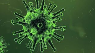 WHO declares JN 1 variant as VOI