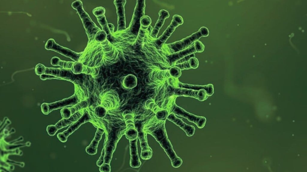 WHO declares JN 1 variant as VOI